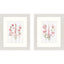 Paragon Wildflowers and Bows S/2 Pink 11 X 09 X 1 Wall Art
