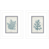 Paragon Coral Oasis S/2 Blue 11 X 09 X 2 Wall Art