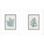 Paragon Coral Oasis S/2 Blue 11 X 09 X 2 Wall Art