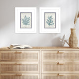 Paragon Coral Oasis S/2 Blue 11 X 09 X 2 Wall Art