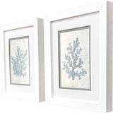 Paragon Coral Oasis S/2 Blue 11 X 09 X 2 Wall Art