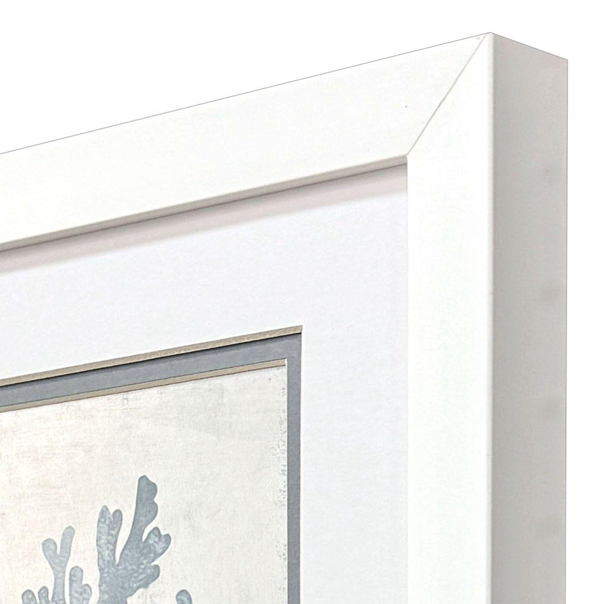 Paragon Coral Oasis S/2 Blue 11 X 09 X 2 Wall Art
