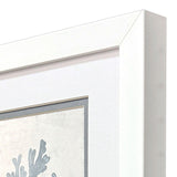 Paragon Coral Oasis S/2 Blue 11 X 09 X 2 Wall Art