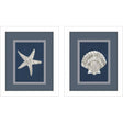 Paragon Starfish Scallop S/2 Blue 11 X 09 X 2 Wall Art