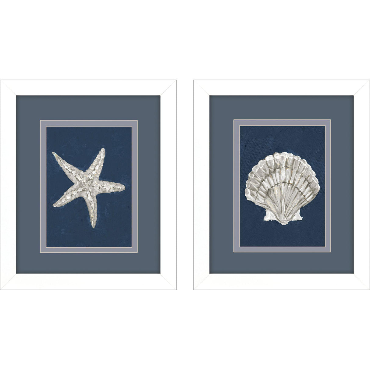 Paragon Starfish Scallop S/2 Blue 11 X 09 X 2 Wall Art
