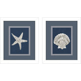Paragon Starfish Scallop S/2 Blue 11 X 09 X 2 Wall Art