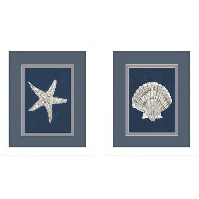 Paragon Starfish Scallop S/2 Blue 11 X 09 X 2 Wall Art