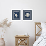 Paragon Starfish Scallop S/2 Blue 11 X 09 X 2 Wall Art