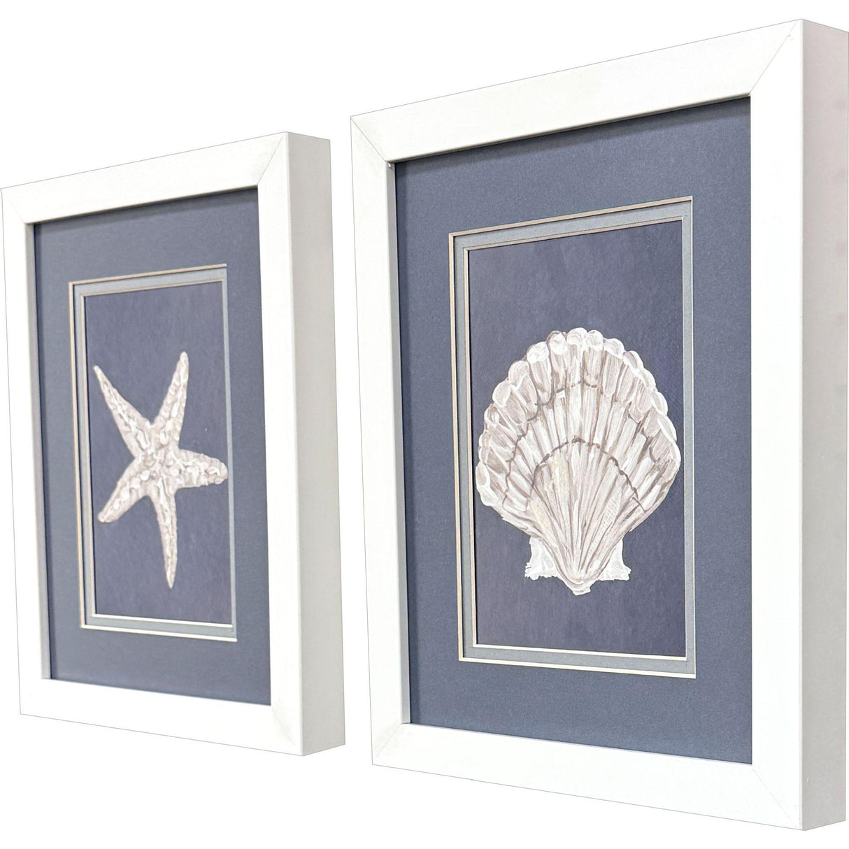 Paragon Starfish Scallop S/2 Blue 11 X 09 X 2 Wall Art