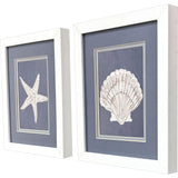 Paragon Starfish Scallop S/2 Blue 11 X 09 X 2 Wall Art