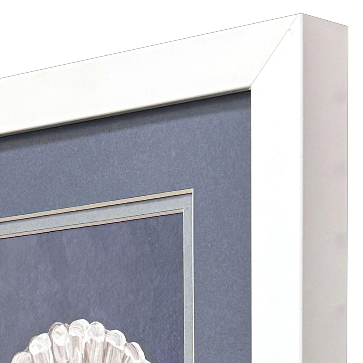 Paragon Starfish Scallop S/2 Blue 11 X 09 X 2 Wall Art