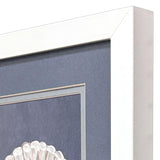 Paragon Starfish Scallop S/2 Blue 11 X 09 X 2 Wall Art