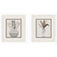 Paragon Palm Arrangement S/2 Brown 16 X 14 X 2 Wall Art