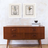 Paragon Palm Arrangement S/2 Brown 16 X 14 X 2 Wall Art