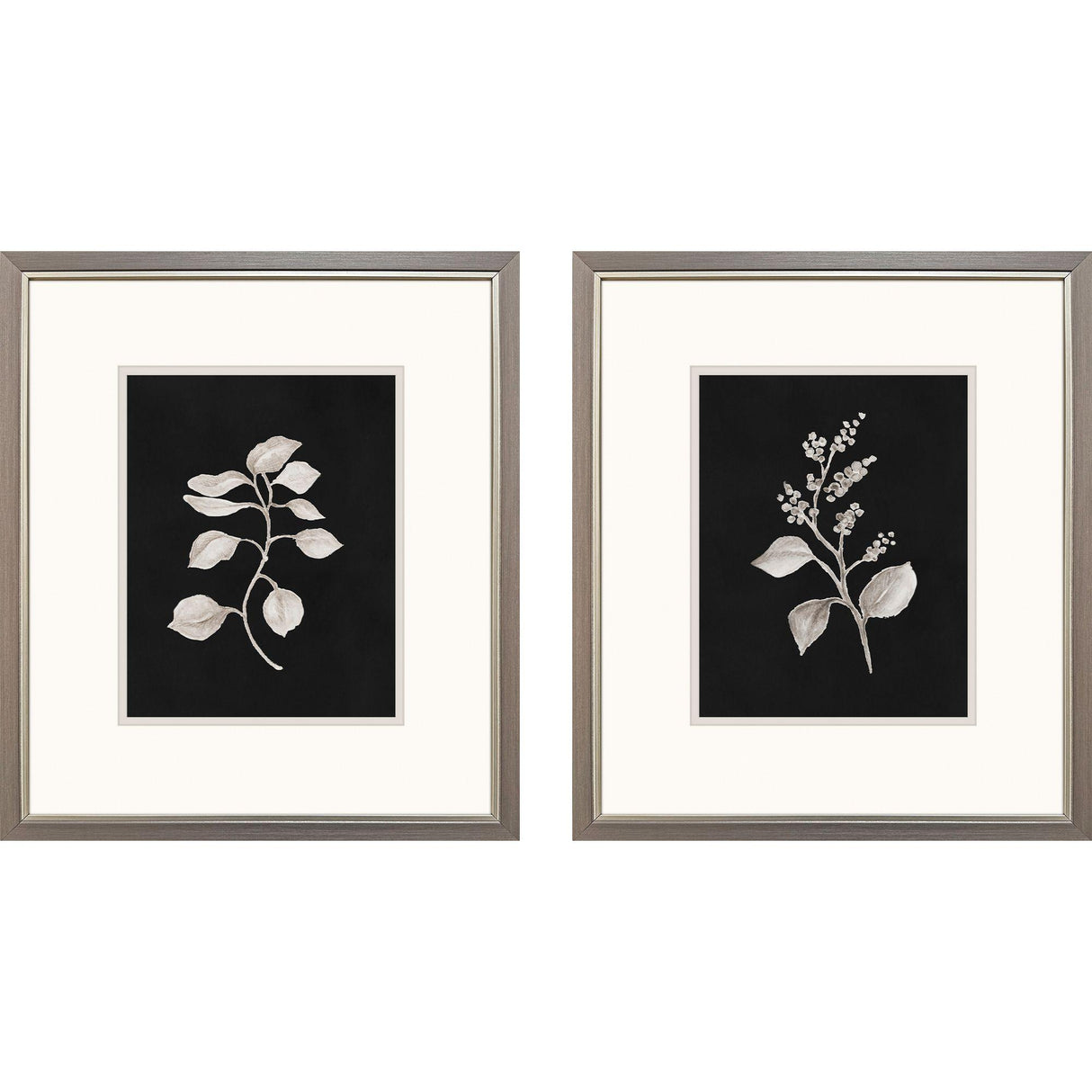 Paragon Dark Botanical S/2 Black 16 X 14 X 1 Wall Art