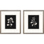 Paragon Dark Botanical S/2 Black 16 X 14 X 1 Wall Art