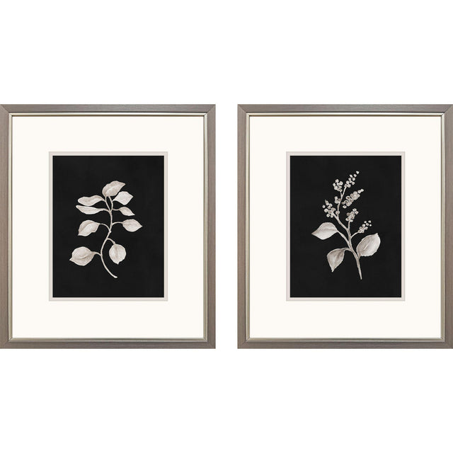 Paragon Dark Botanical S/2 Black 16 X 14 X 1 Wall Art