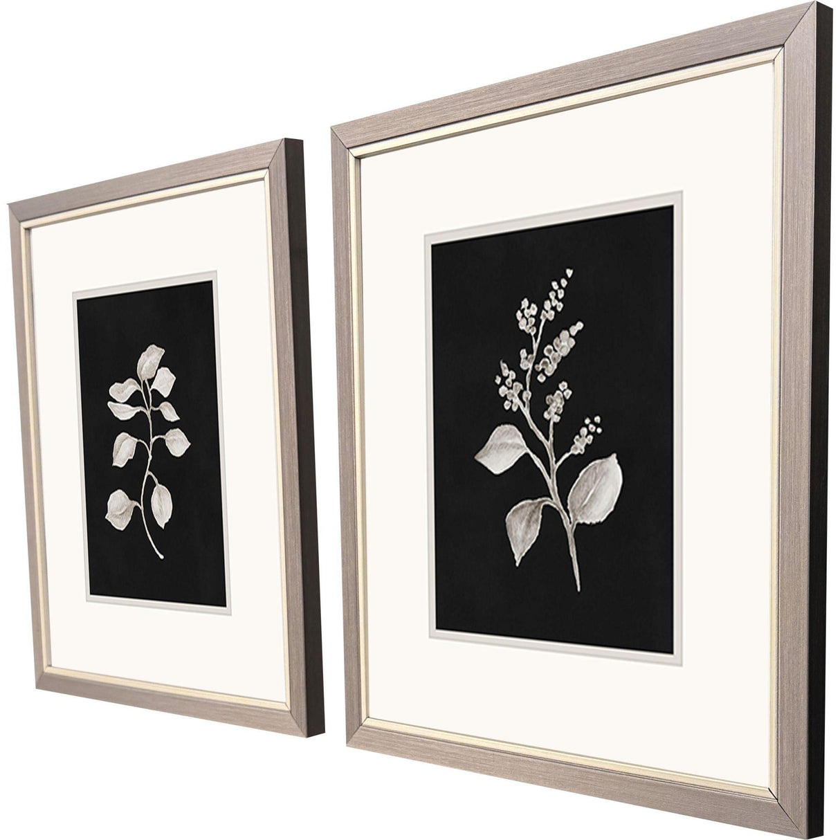 Paragon Dark Botanical S/2 Black 16 X 14 X 1 Wall Art