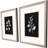 Paragon Dark Botanical S/2 Black 16 X 14 X 1 Wall Art