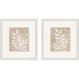 Paragon Foliage Retreat S/2 Beige 16 X 14 X 1 Wall Art