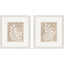 Paragon Foliage Retreat S/2 Beige 16 X 14 X 1 Wall Art