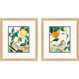 Paragon Lemon Orange S/2 Green 17 X 15 X 1 Wall Art