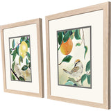 Paragon Lemon Orange S/2 Green 17 X 15 X 1 Wall Art