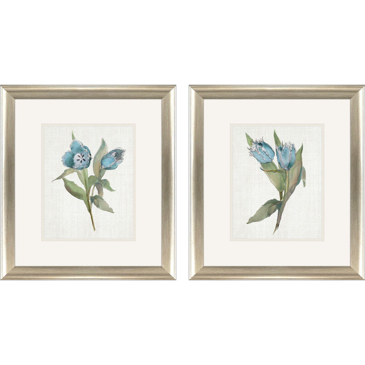 Paragon Blue Tulip S/2 Blue 18 X 16 X 1 Wall Art