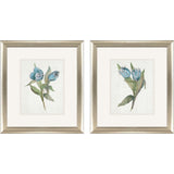 Paragon Blue Tulip S/2 Blue 18 X 16 X 1 Wall Art