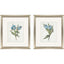 Paragon Blue Tulip S/2 Blue 18 X 16 X 1 Wall Art