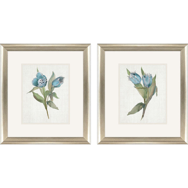 Paragon Blue Tulip S/2 Blue 18 X 16 X 1 Wall Art