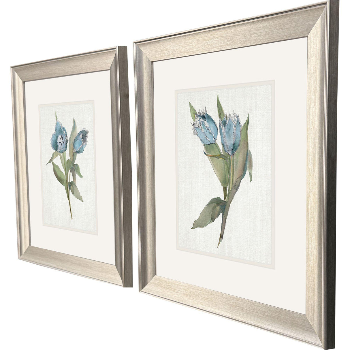 Paragon Blue Tulip S/2 Blue 18 X 16 X 1 Wall Art