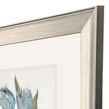 Paragon Blue Tulip S/2 Blue 18 X 16 X 1 Wall Art