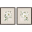 Paragon Garden Elegance S/2 Green 16 X 14 X 1 Wall Art