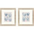 Paragon Sea Coral Collection S/2 Blue 18 X 16 X 1 Wall Art
