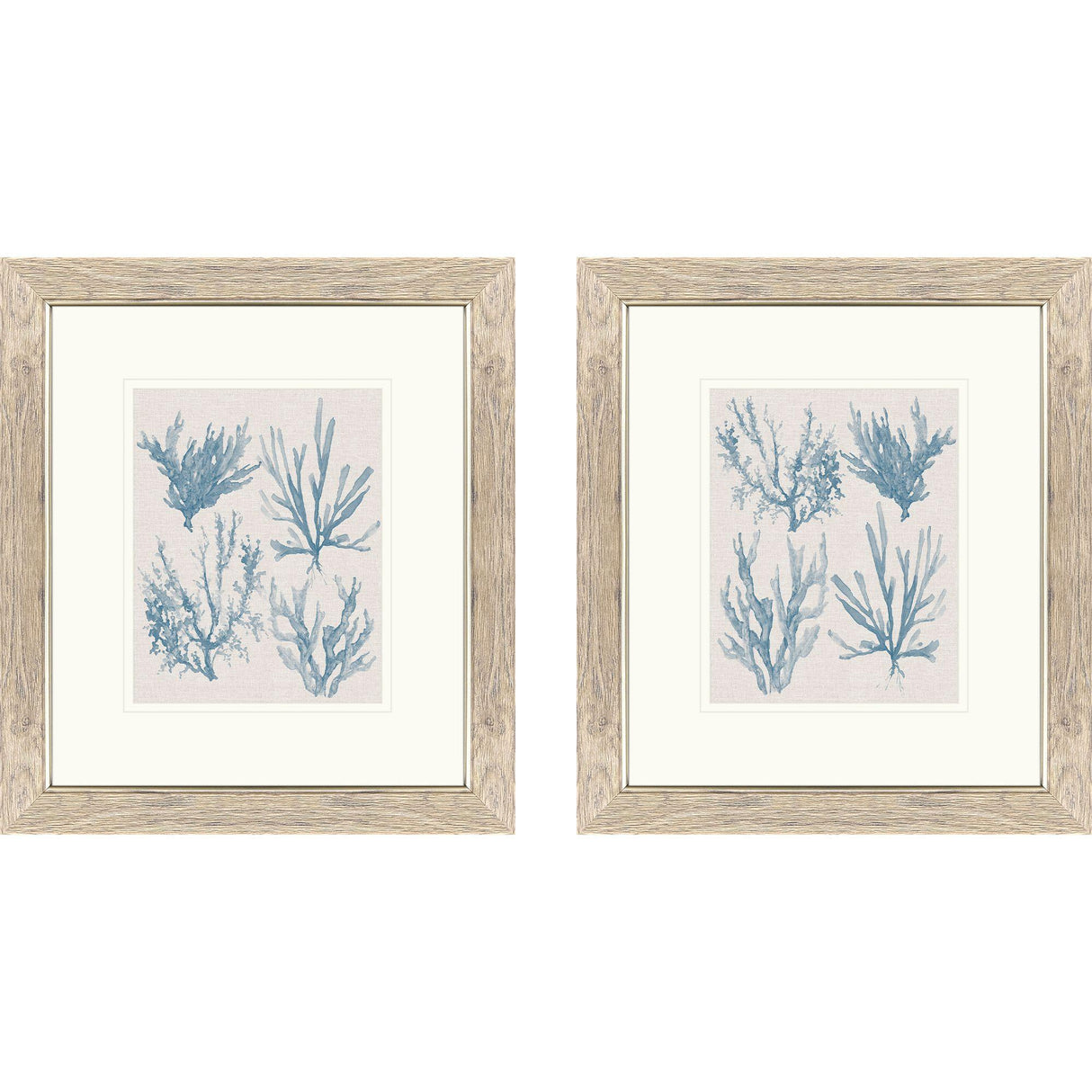 Paragon Sea Coral Collection S/2 Blue 18 X 16 X 1 Wall Art