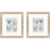 Paragon Sea Coral Collection S/2 Blue 18 X 16 X 1 Wall Art