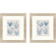 Paragon Sea Coral Collection S/2 Blue 18 X 16 X 1 Wall Art