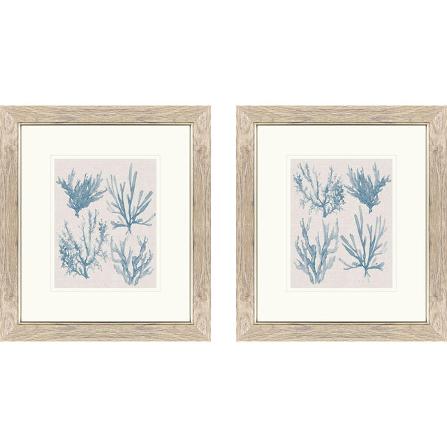 Paragon Sea Coral Collection S/2 Blue 18 X 16 X 1 Wall Art