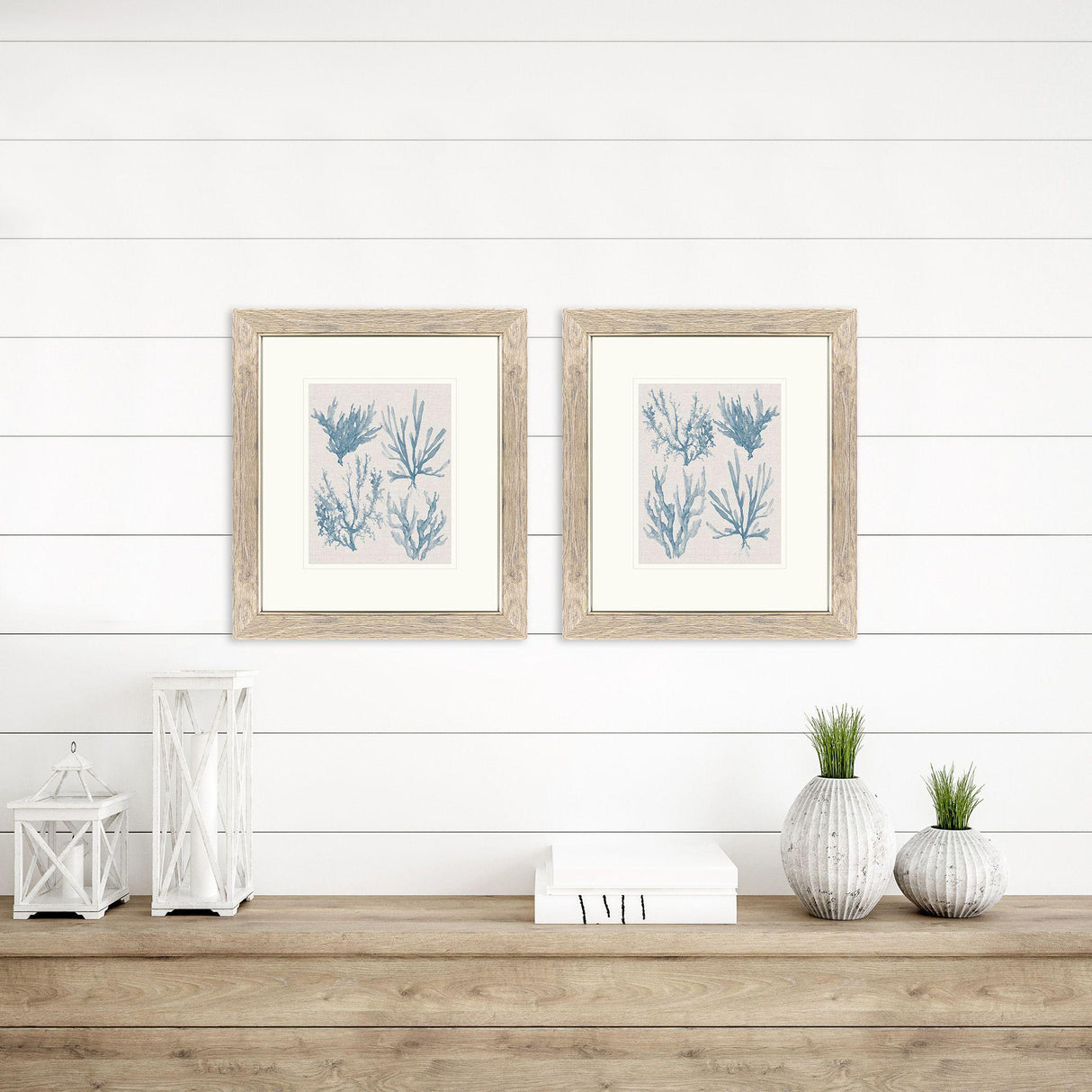 Paragon Sea Coral Collection S/2 Blue 18 X 16 X 1 Wall Art