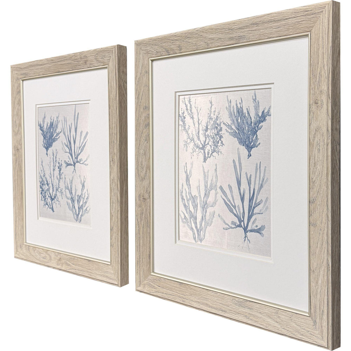 Paragon Sea Coral Collection S/2 Blue 18 X 16 X 1 Wall Art