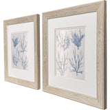 Paragon Sea Coral Collection S/2 Blue 18 X 16 X 1 Wall Art
