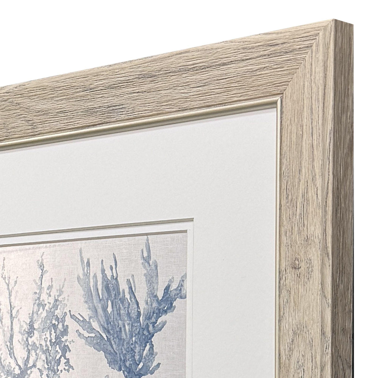 Paragon Sea Coral Collection S/2 Blue 18 X 16 X 1 Wall Art