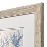 Paragon Sea Coral Collection S/2 Blue 18 X 16 X 1 Wall Art