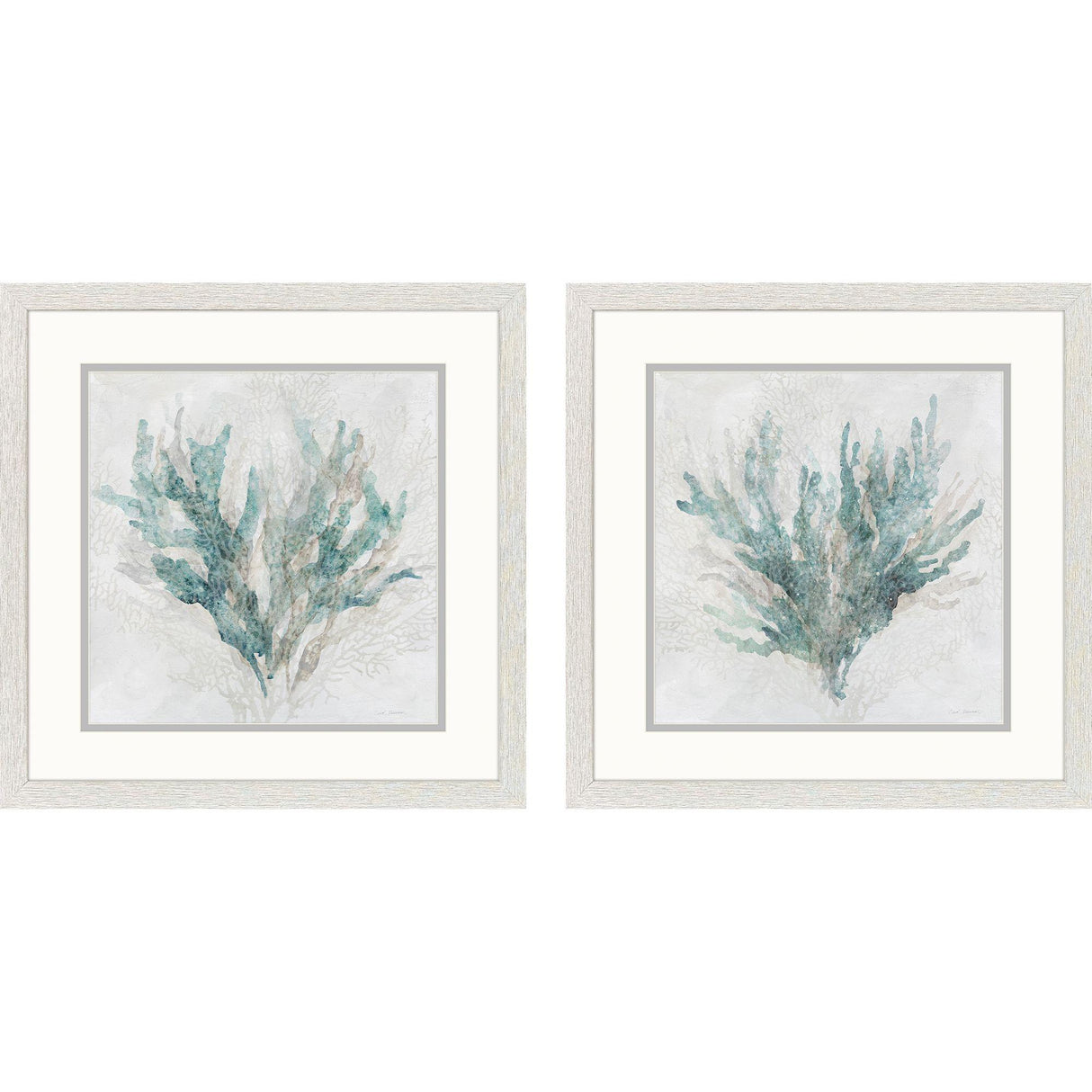 Paragon Coral Splash S/2 Blue 17 X 17 X 1 Wall Art
