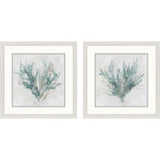 Paragon Coral Splash S/2 Blue 17 X 17 X 1 Wall Art