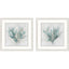 Paragon Coral Splash S/2 Blue 17 X 17 X 1 Wall Art