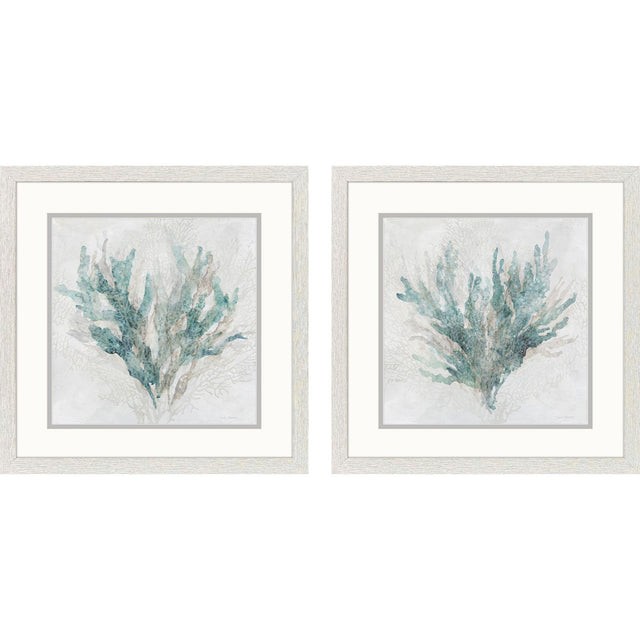 Paragon Coral Splash S/2 Blue 17 X 17 X 1 Wall Art