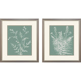 Paragon Friendly Fern S/2 Green 20 X 17 X 1 Wall Art