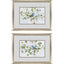 Paragon Blue Bird Morning S/2 Blue 21 X 27 X 1 Wall Art